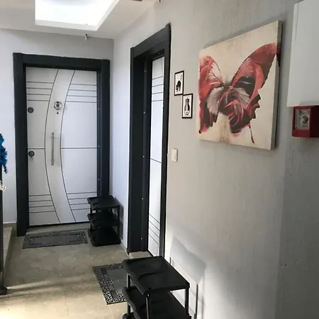 Apartman Teoscitta *